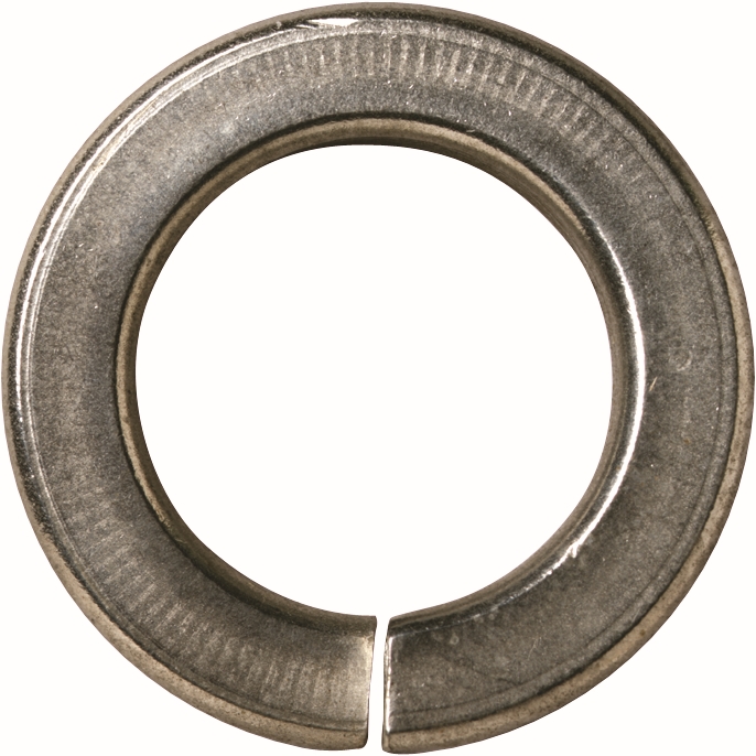 Other view of Spring Washer - Medium - 316 Stainless Steel - 14 x 24.1 x 3 mm - WR16SM14 - Hobson