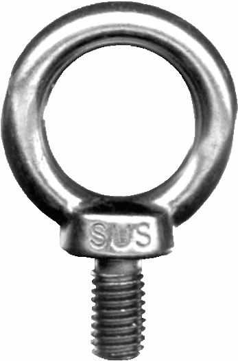 Other view of EYEBOLT COLLARED S/S316 20MM