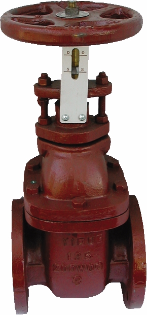 Other view of AAP Valve Gate - Non-Rising - Class 600 - Cast Iron - 200mm - VCIG98E