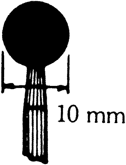 Other view of Mounted Point - Aluminium Oxide - B122 - 60 Grit - 10 mm - Norton