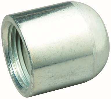 Other view of AAP Cap - BSP - Malleable Iron - Galvanized - 20Nb - LC20