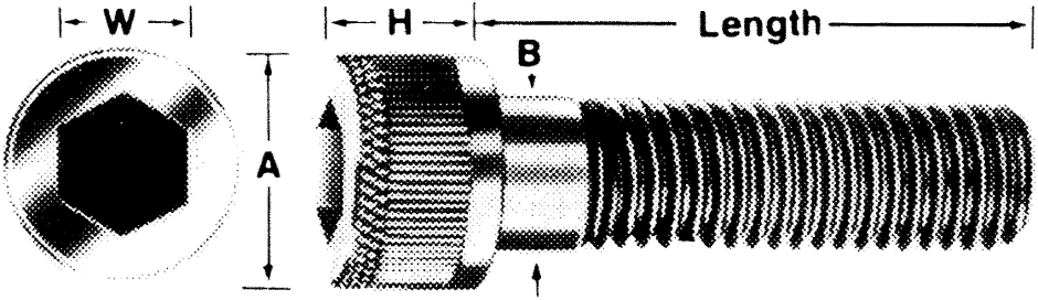 Other view of Socket Head Cap Screw - 304 Stainless Steel - UNC - 1/2-13 x 1" - SH04PC0500100 - Hobson