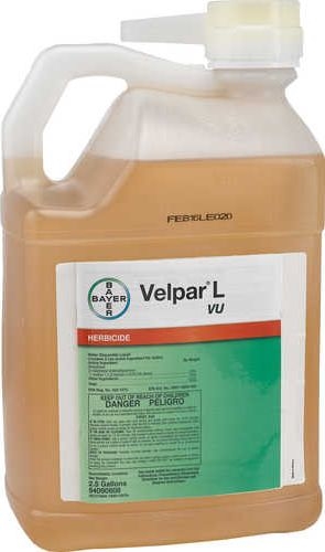 03402949-VELPAR L