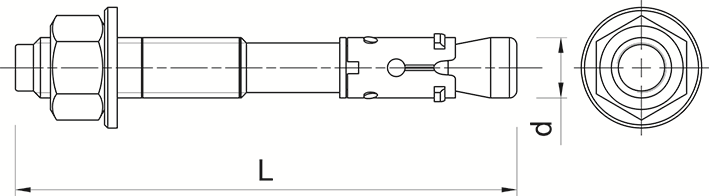 Other view of R-XPT Throughbolt SS316 10 X 95/15 -RAWLPLUG