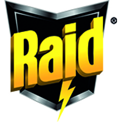 Raid