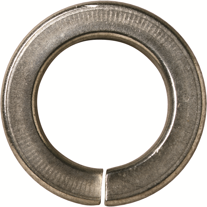 Other view of Spring Washer - Medium - Stainless Steel 304 - 12 mm