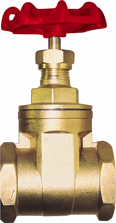 Other view of AAP VBGTT40 Gate Valve Untested Brass Screw - 40 mm