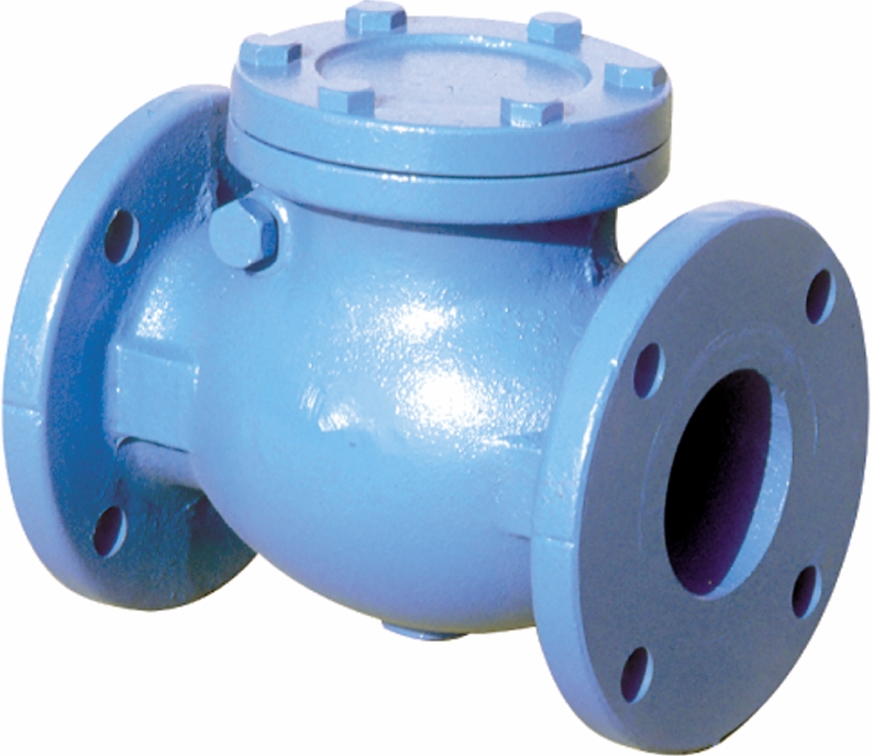 Other view of Swing Check Valve - Cast Iron - 150 mm - Flanged And Drilled - B404E - Brook Valves